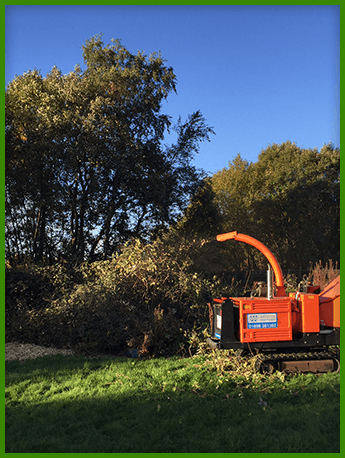 High-Quality Commercial Tree Surgery Solutions in  Lanarkshire and Glasgow