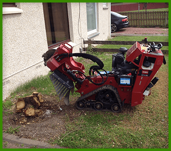 High-Quality Commercial Tree Surgery Solutions in  Lanarkshire and Glasgow